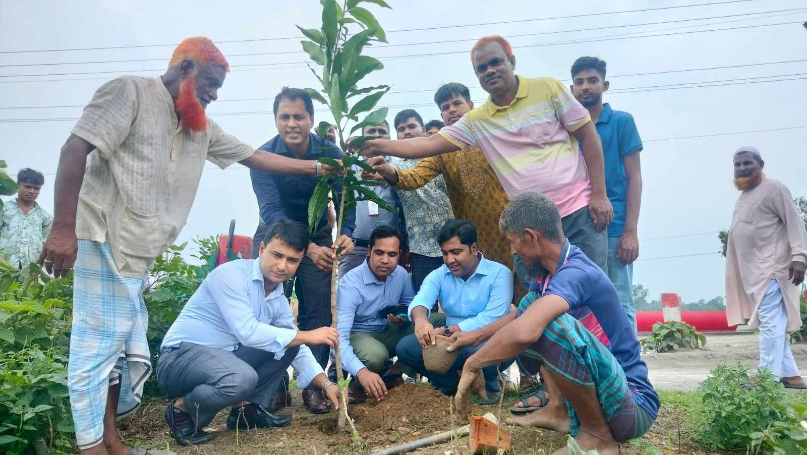 ঝিনাইগাতীতে ১ হাজার গাছের চারা রোপণ,প্রধান অতিথি ফারুক আল মাসুদ