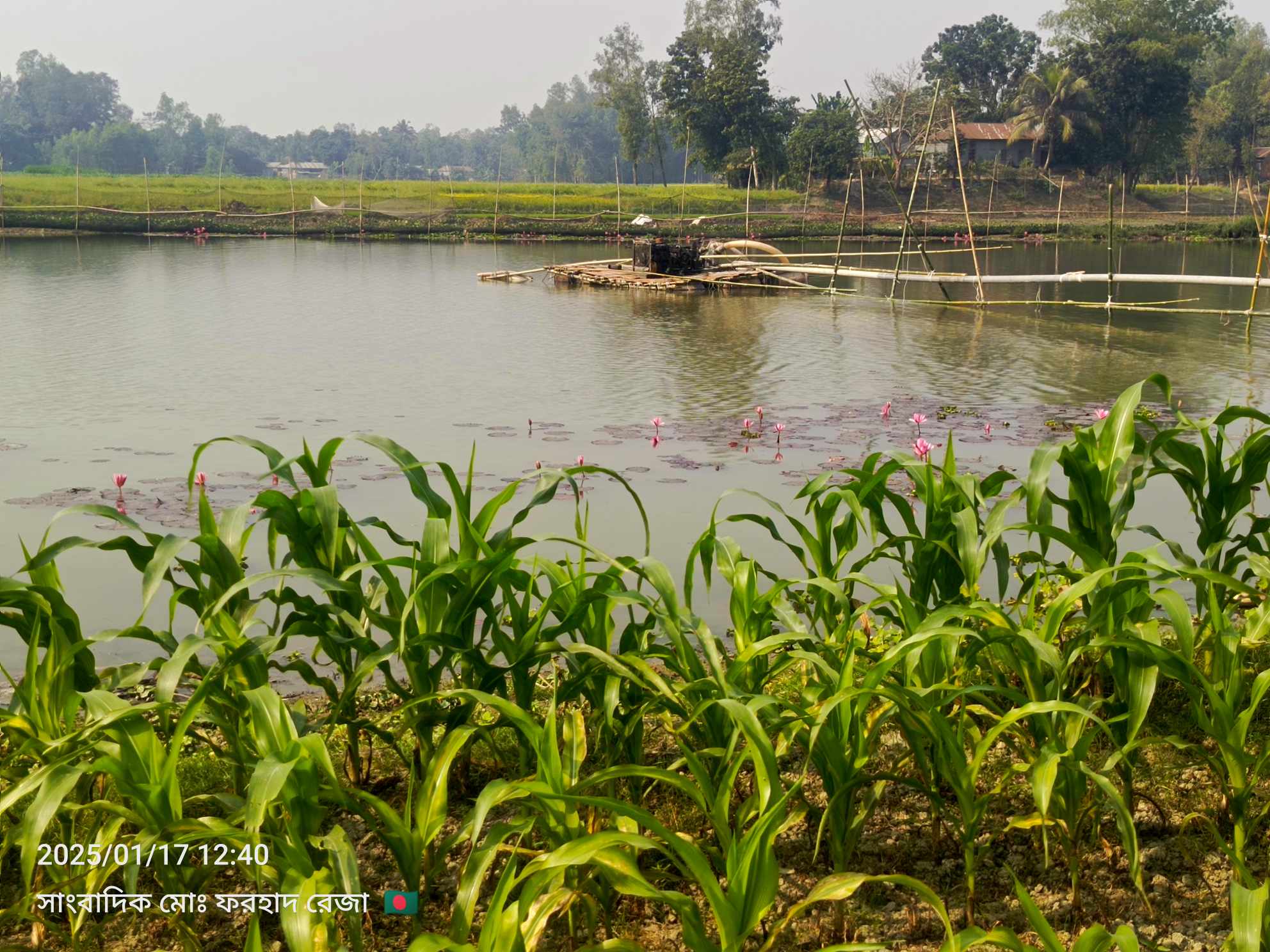 দেওয়ানগঞ্জের ড্রেজার দিয়ে মাটি উত্তোলন, মাটিখেকোদের খুঁটিরজোর কোথায়?