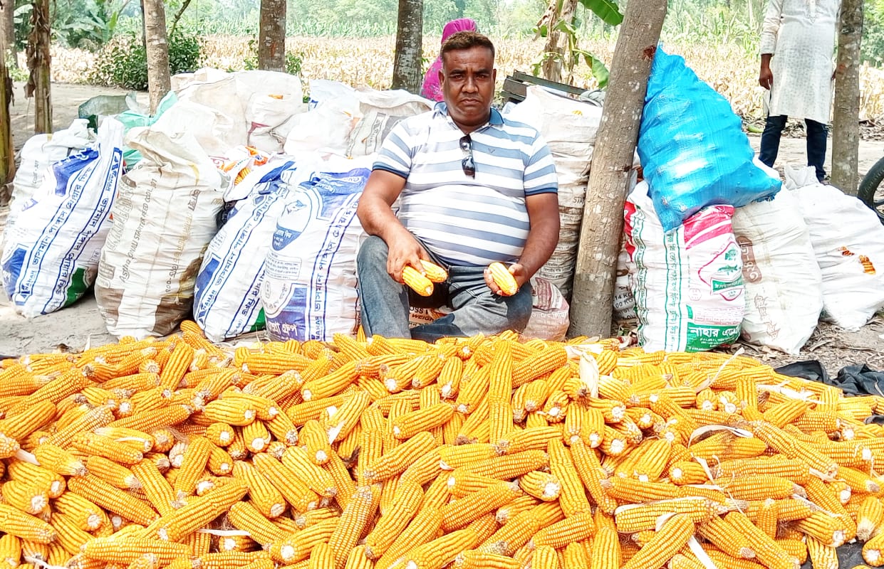 পাঁচবিবিতে প্রথমবার ভুট্টা চাষে সফল আনিছুর