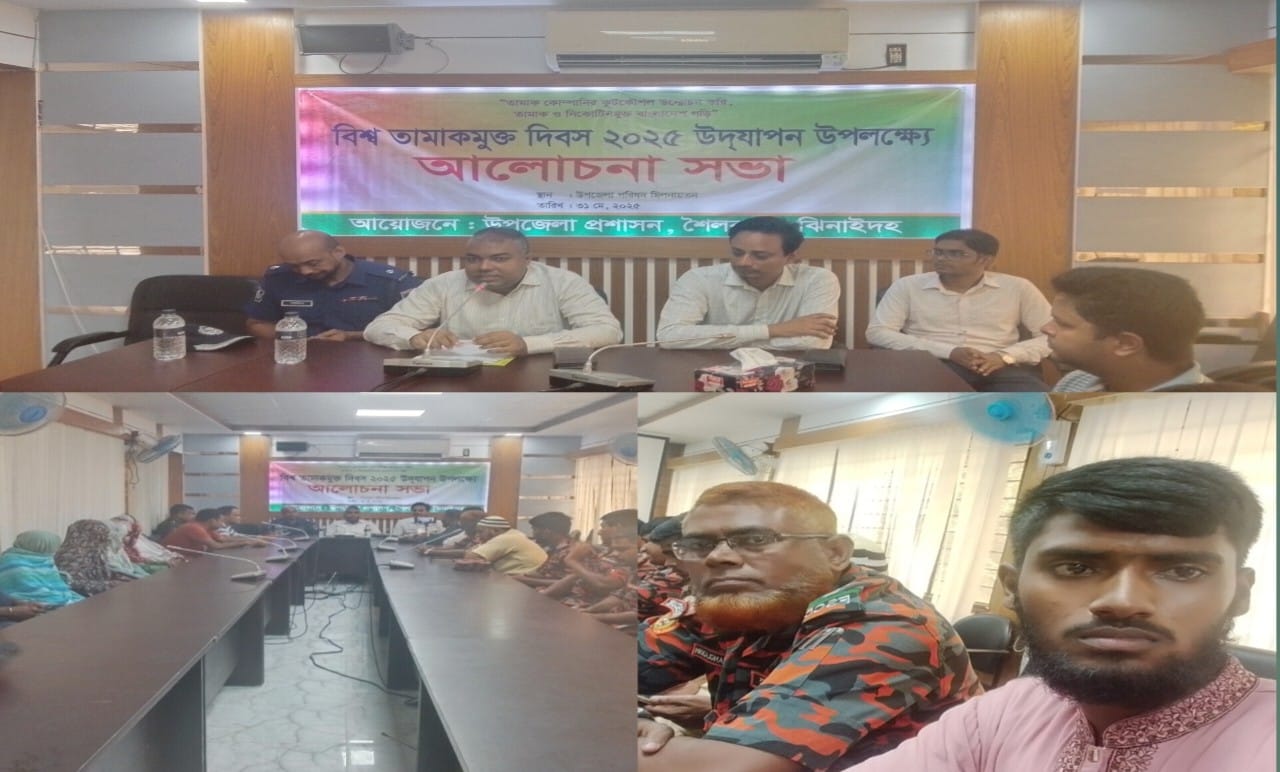 বিশ্ব তামাকমুক্ত দিবস ২০২৫ উপলক্ষে শৈলকুপায় আলোচনা সভা অনুষ্ঠিত
