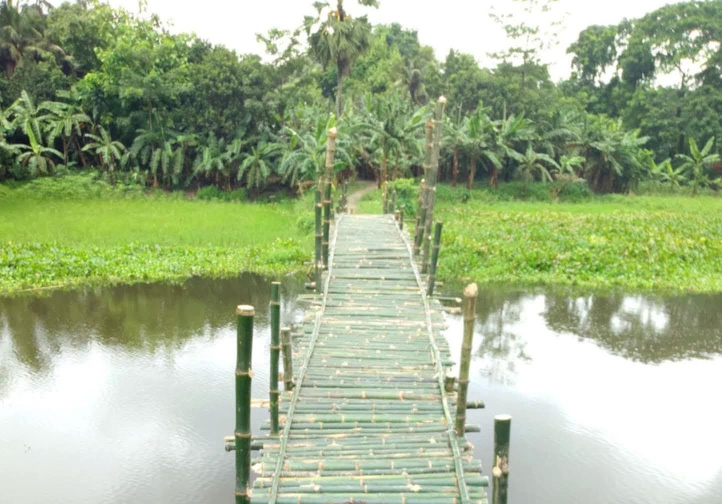 কোটচাঁদপুর চিত্রা পাড়ের বাঁশের সাঁকো,ছাত্র ছাত্রীদের হাঁসি ফোটালো