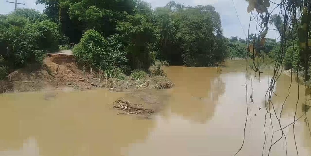 নড়াইলে জুলাইয়ে ৬জন সহ ১৫ মাসে ১৮ জনের মৃত্যু