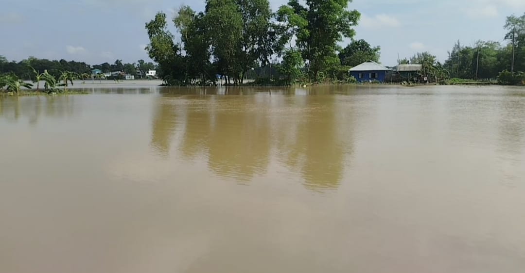নড়াইলের লোহাগাড়ায় পুকুর থেকে সোয়েবুরের মরদেহ উদ্ধার