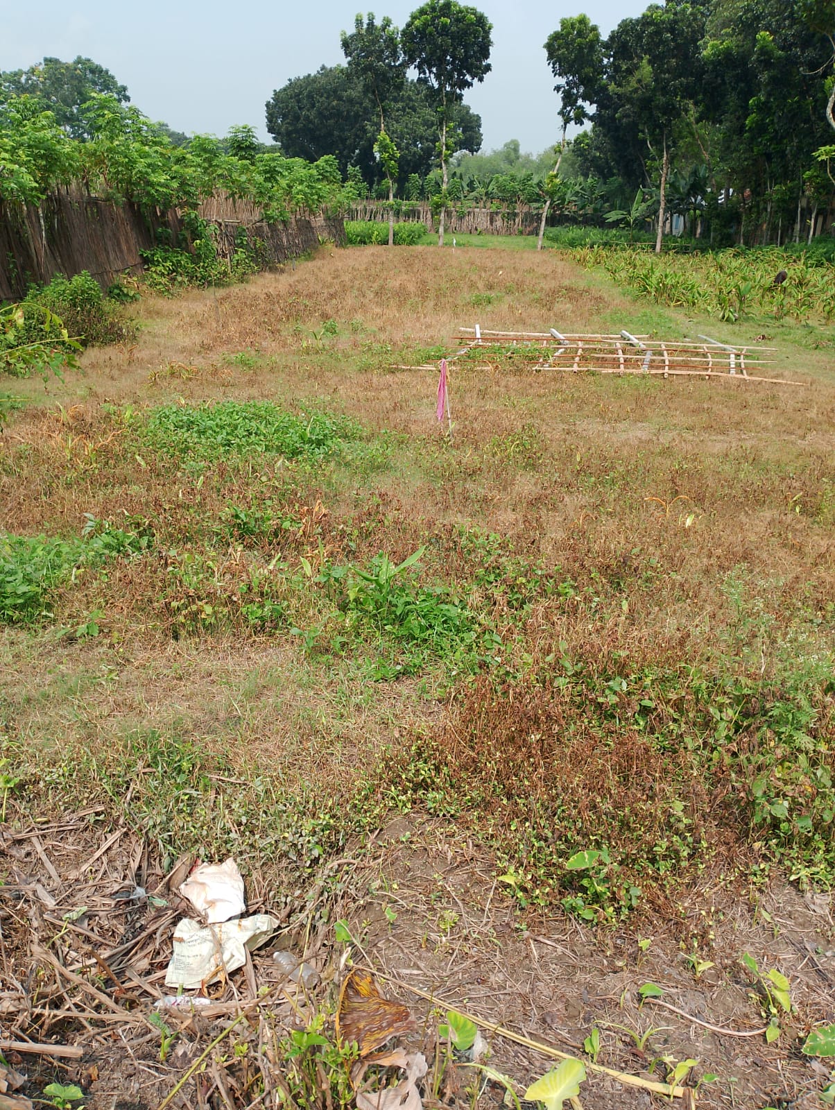 শৈলকুপায় চাঁদা না পেয়ে নির্মাণাধীন বসতঘর ভাংচুর ও ফসল নষ্ট, থানায় অভিযোগ