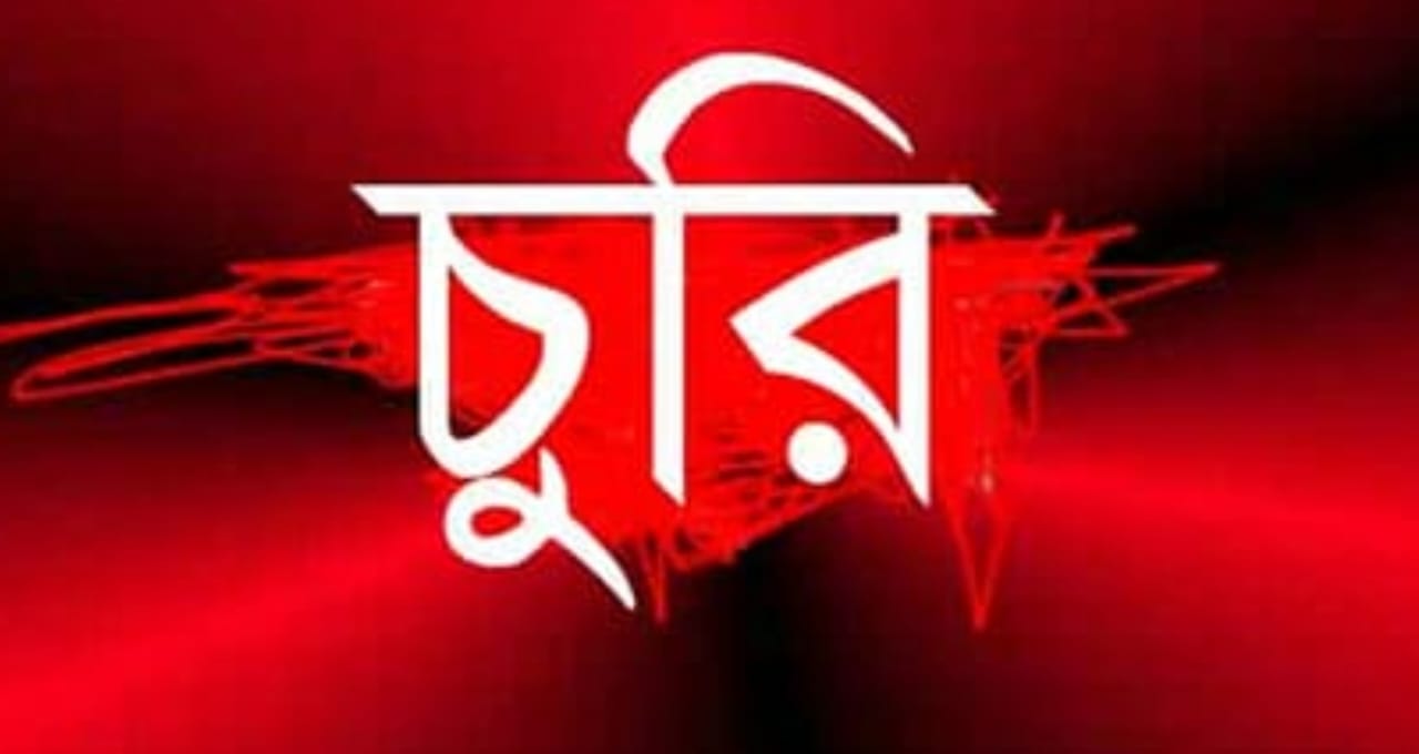 ভূরুঙ্গামারীর পাইকেরছড়া ১নং ওয়ার্ডে চুরির ঘটনা বাড়ছে, জনমনে আতঙ্ক