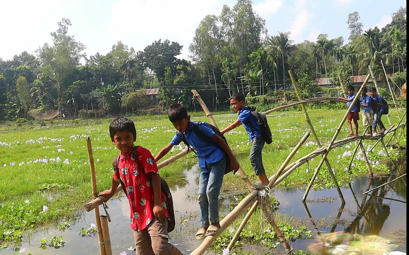 মোহনগঞ্জে বাঁশের সেতুতে জীবনের ঝুঁকি নিয়ে পারাপার — দুর্ভোগে কোমলমতি শিক্ষার্থীরা