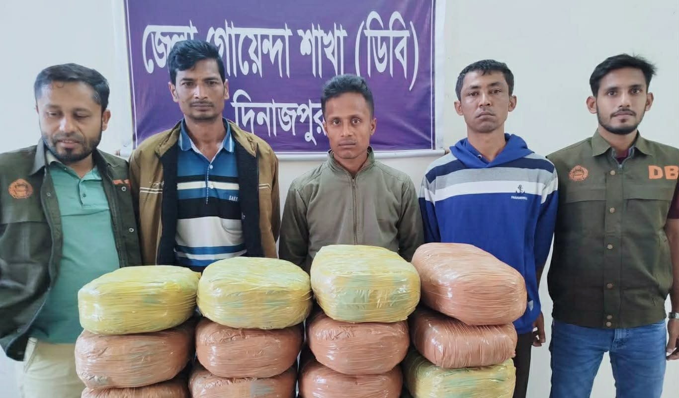 দিনাজপুরে ডিবি পুলিশের পৃথক অভিযানে বিপুল পরিমাণ মাদক উদ্ধার