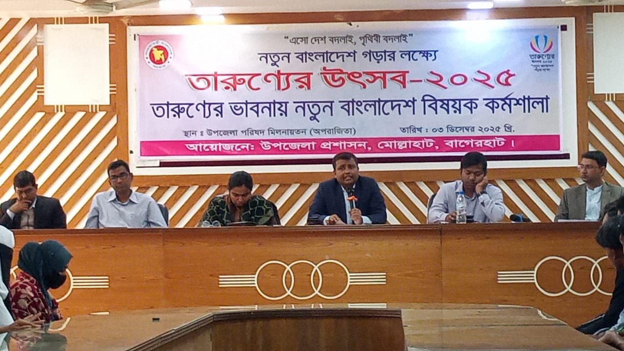 মোল্লাহাটে তারুণ্যের উৎসব ২০২৫ অনুষ্ঠিত