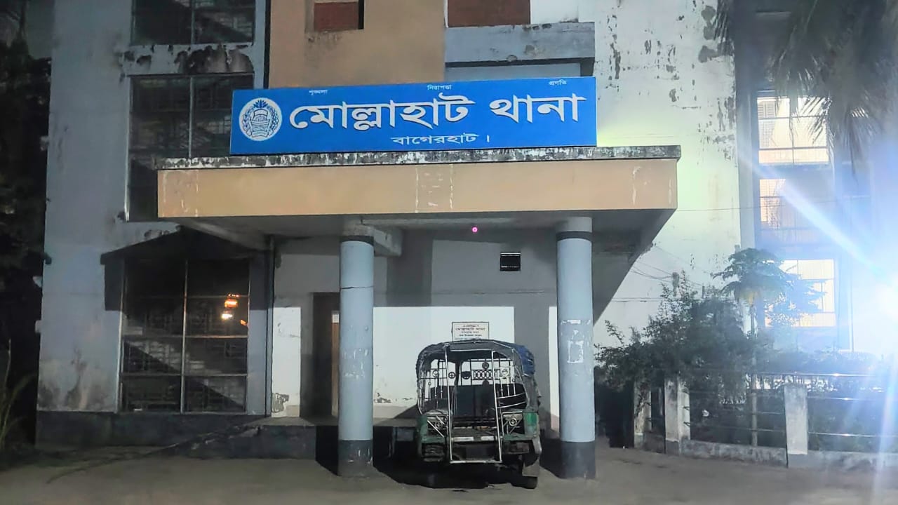 মোল্লাহাটে পুর্ব শত্রুতার জেরে যুবকে হত্যার চেষ্টা।