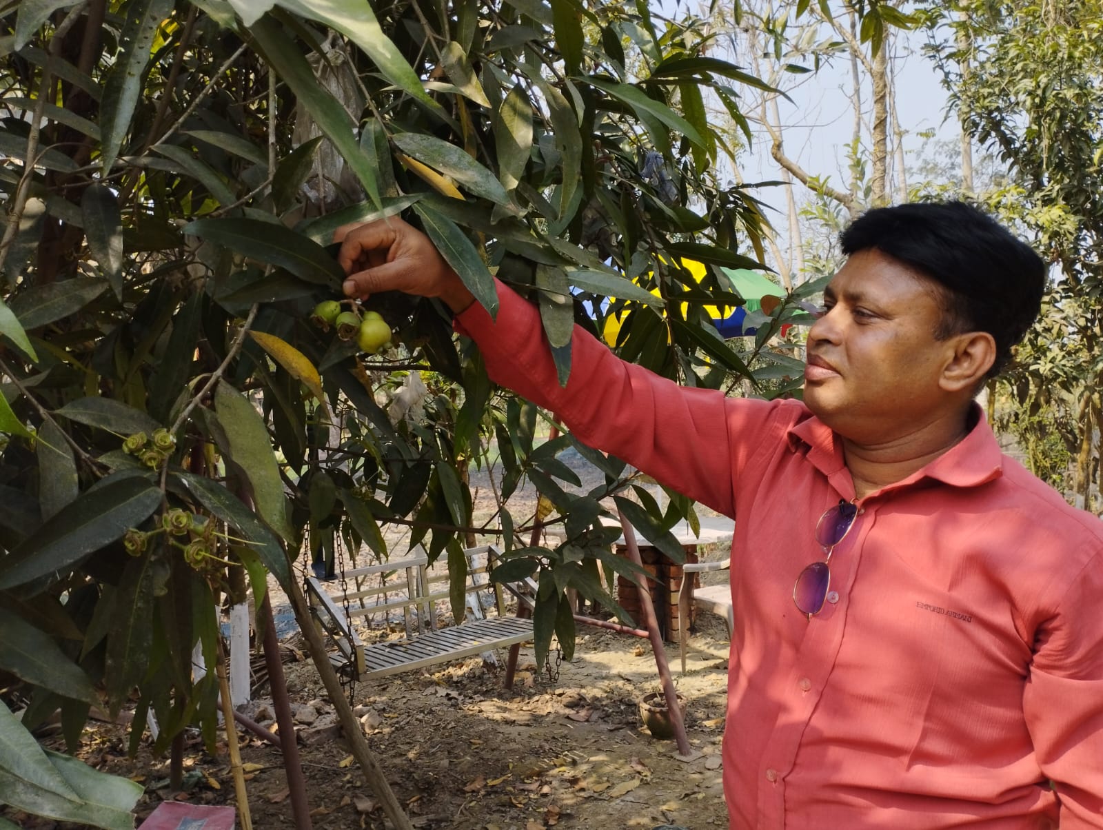 নড়াইলে পরিবারের পুষ্টির চাহিদা মেটাতে পল্লবের বিষমুক্ত শাক-সবজি ও ফলের বাগান