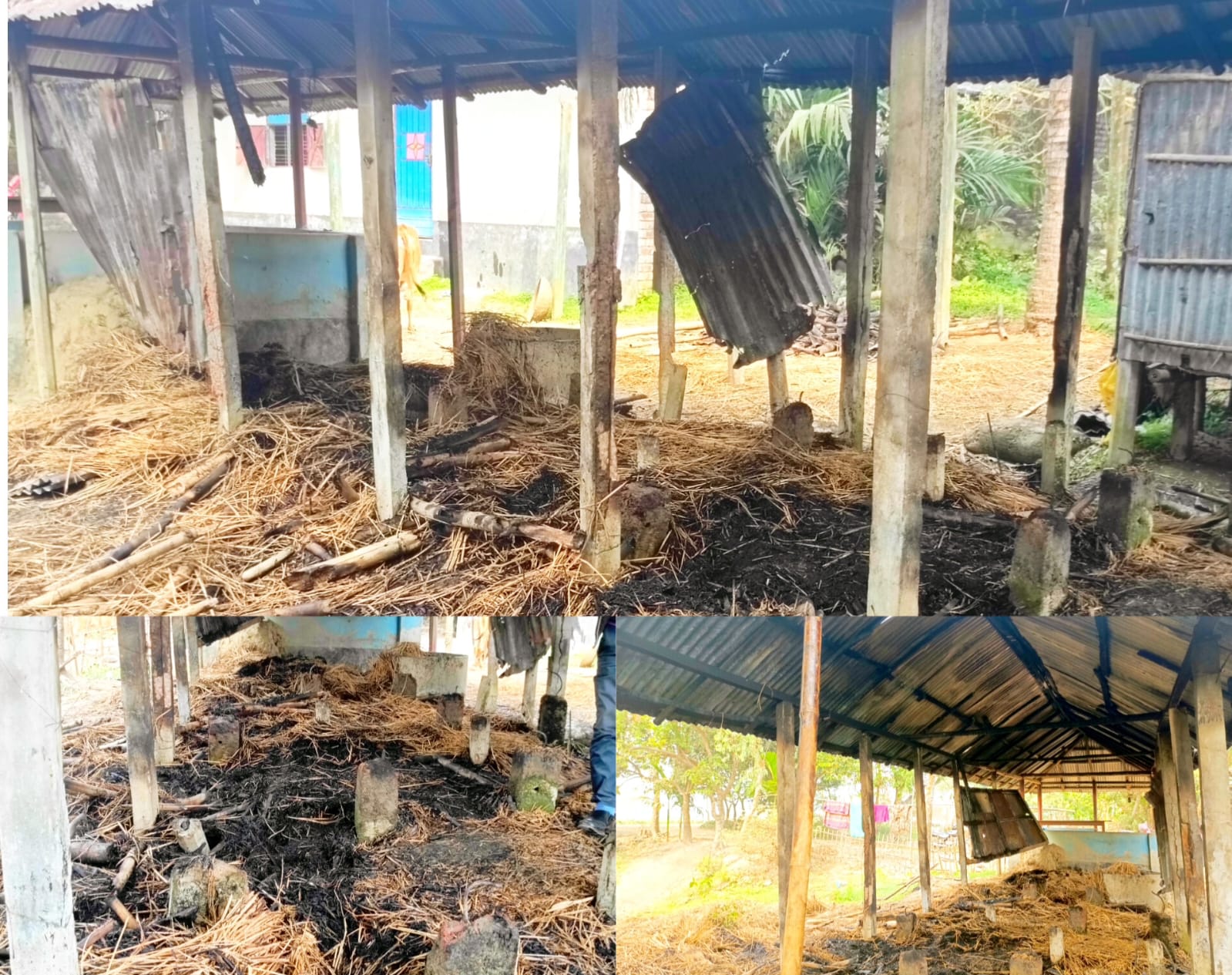 বীরগঞ্জে রাতের আঁধারে খড়ের ঘরে আগুন, আতঙ্কে গ্রামবাসী
