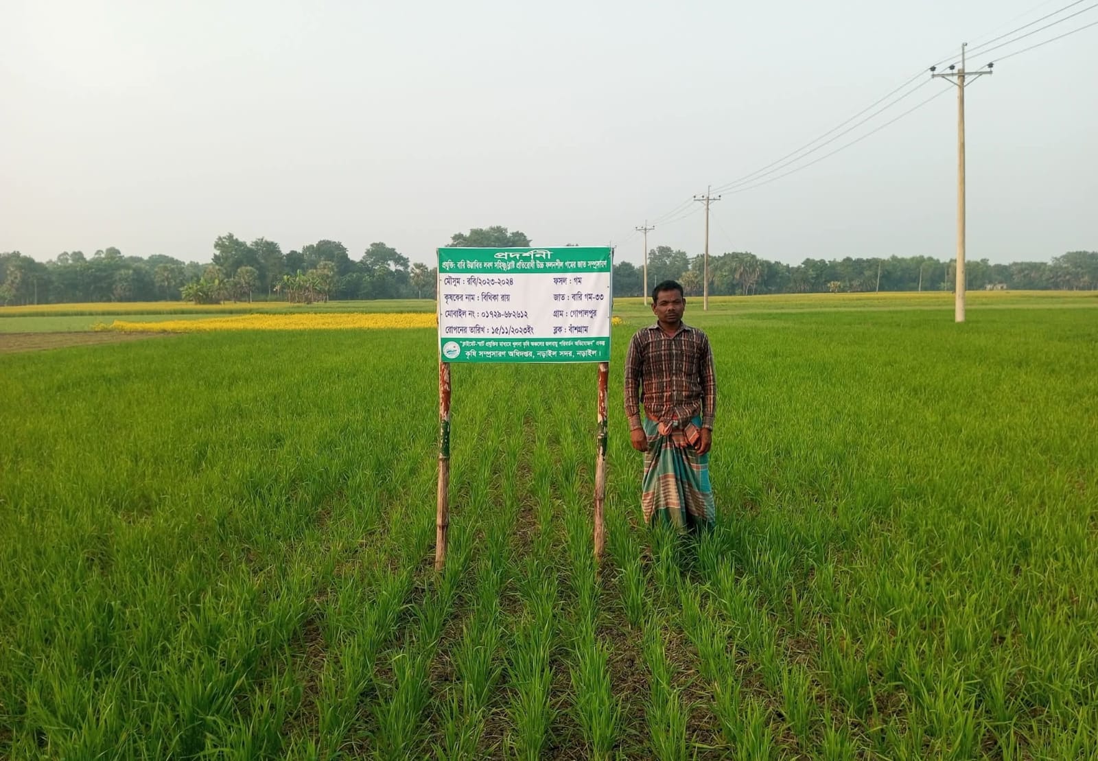 নড়াইলের পাম্পে ডিজেল সংকটে বিপাকে কৃষকরা