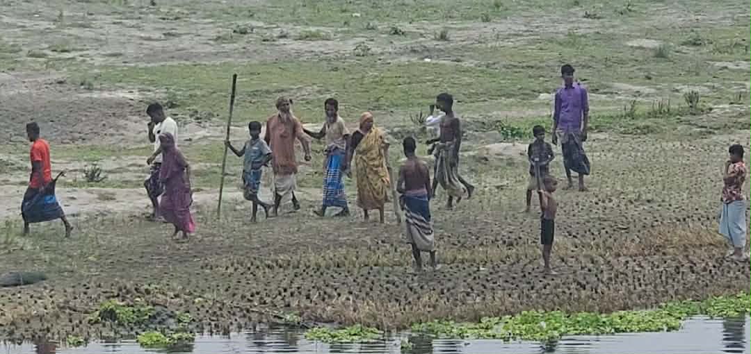 ইসলামপুরে জোরপূর্বক ভাবে জমি দখলের চেষ্টা