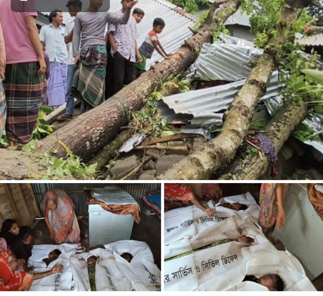 বৈশাখী ঝড়ে মেলান্দহে মর্মান্তিক দুর্ঘটনা: গাছ চাপায় মা ও দুই মেয়ের মৃত্যু