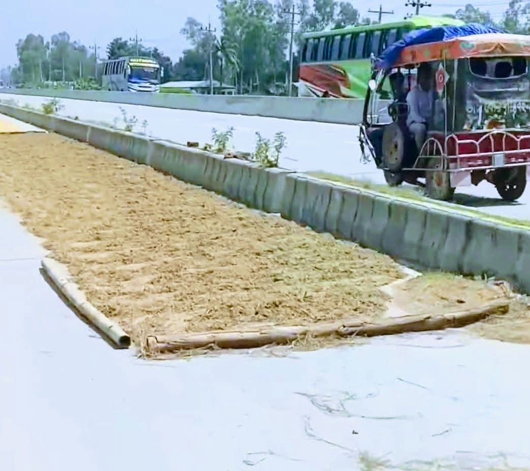 মহাসড়কে ধান শুকানোয় বাড়ছে দুর্ঘটনার ঝুঁকি, প্রশাসনের কঠোর নজরদারির দাবি
