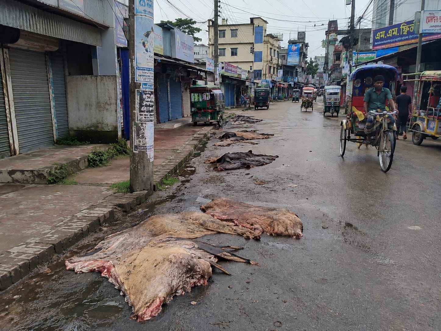 আমতলীতে পচা চামড়ার দুর্গন্ধে নাকাল পৌর শহর, ক্ষোভে ফুঁসছেন বাসিন্দারা