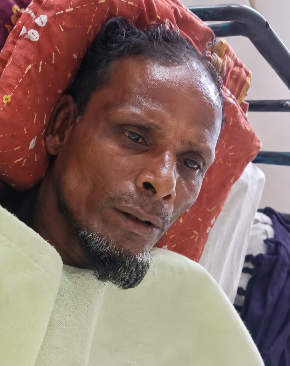 আমতলীতে গরু চুরি করতে এসে কুকুরের কামড়ে ধরা খেল চোর