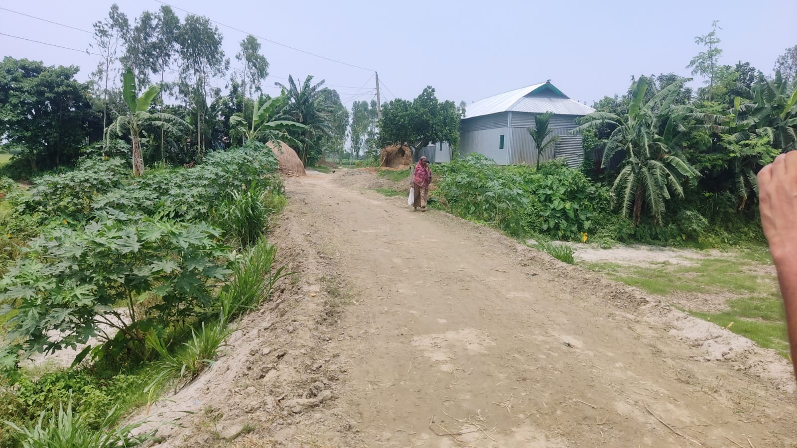 ইসলামপুরে কাবিখা কর্মসূচির প্রকল্পের কাজ দুর্বার গতিতে এগিয়ে চলছে