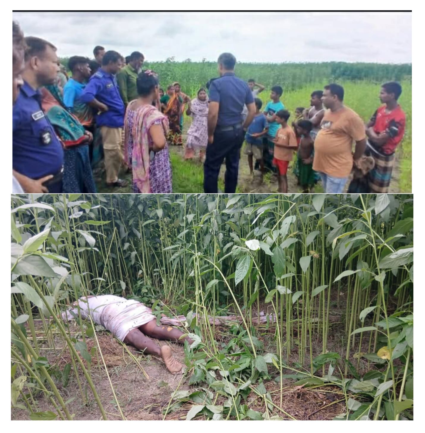 নাগরপুরে পাট ক্ষেত থেকে অর্ধগলিত লাশ উদ্ধার