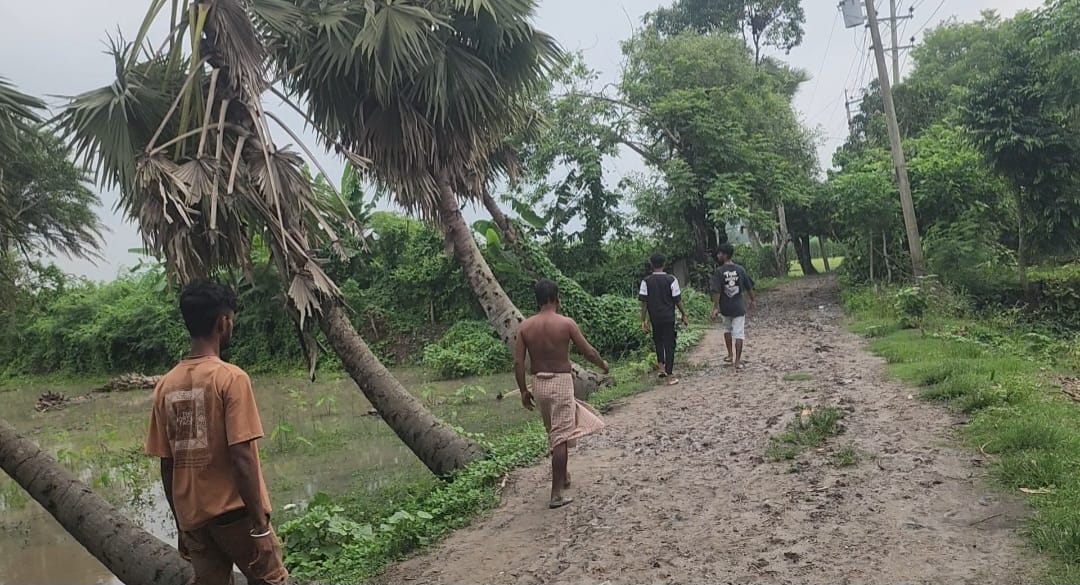 নড়াইলে বর্ষা নামলেই বিচ্ছিন্ন গ্রামীন জনপদ, কাঁচা রাস্তায় চলাচলে ভোগান্তি