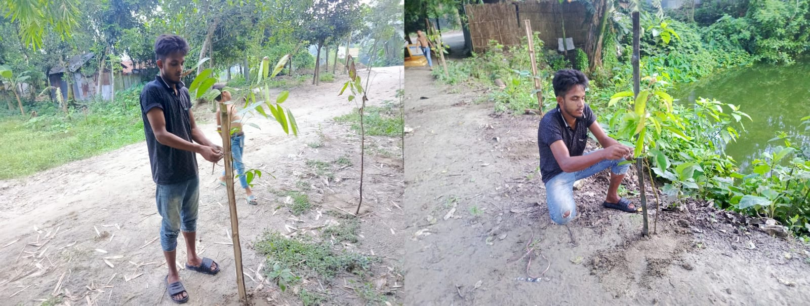 রংপুরে সবুজায়নের অগ্রযাত্রায় এস.এস.এস