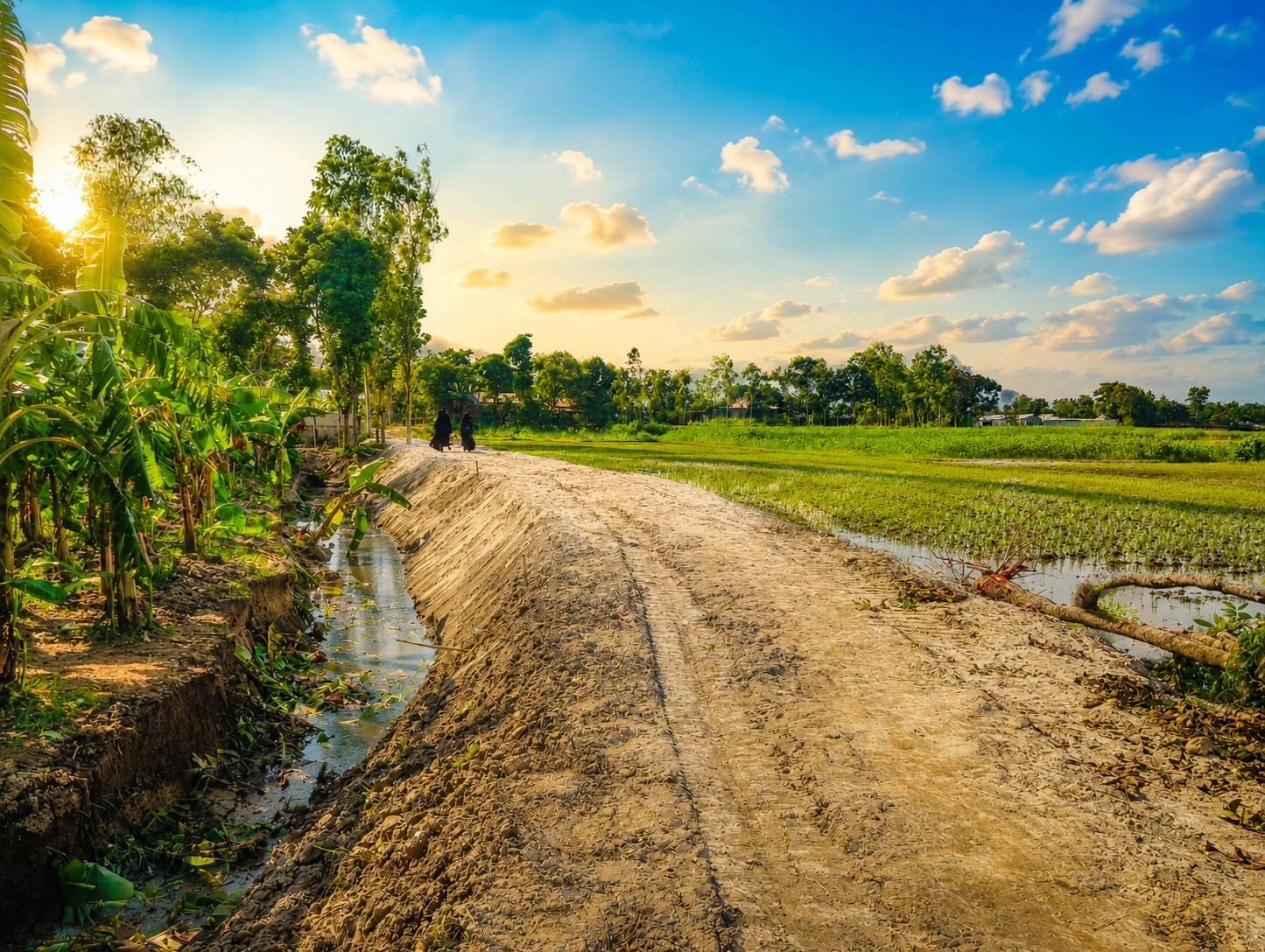 সুলতান মাহমুদ বাবুর নির্দেশে চরপুটিমারী সড়ক সংস্কার, উপকৃত হাজার মানুষ