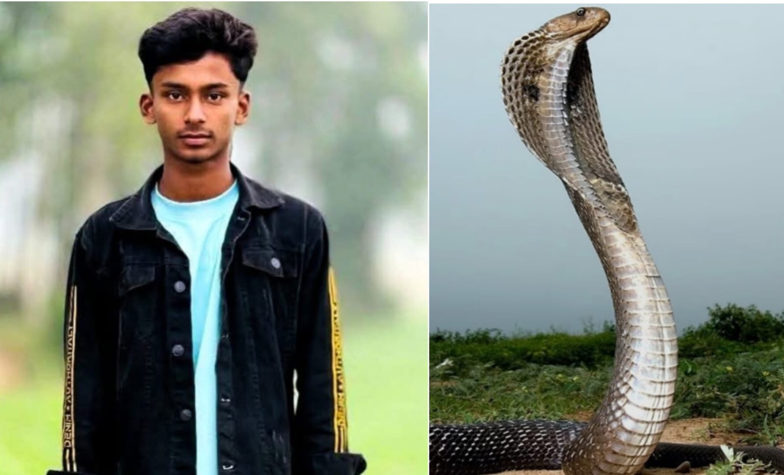 নাগরপুরে সাপের কামড়ে এইচএসসি পরীক্ষার্থীর করুণ মৃত্যু