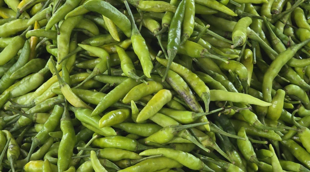ভারত থেকে আসছে কাঁচা মরিচ, কমবে দাম