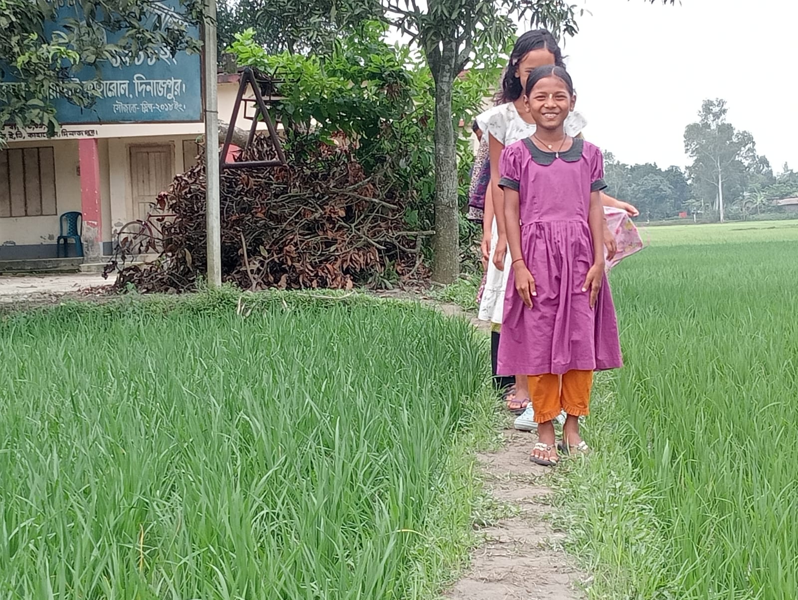 রাস্তা নেই, চিকন আইলই ভরসা: গোপালপুর সরকারি প্রাথমিক বিদ্যালয়ের শিক্ষার্থীদের চরম দুর্ভোগ”